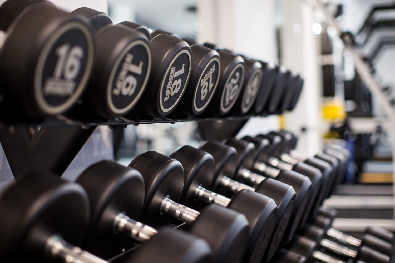 Řady jednoručních činek v The Gym Aš